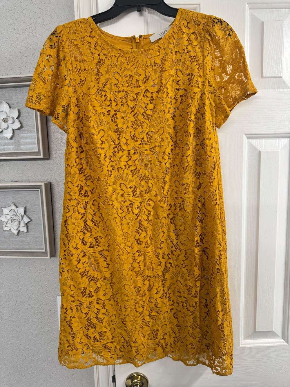 Never worn lace mustard lace shift dress